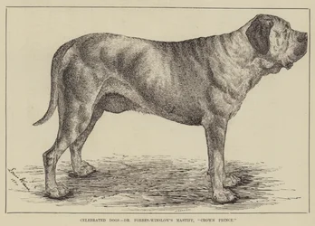 Celebrated Dogs, Dr Forbes-Winslow